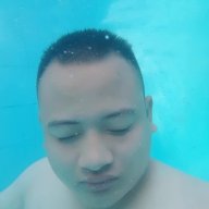 đỗ điệp
