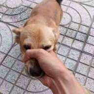 Bình Hàn