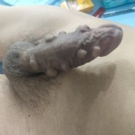 Chuối Bự 9 Bi